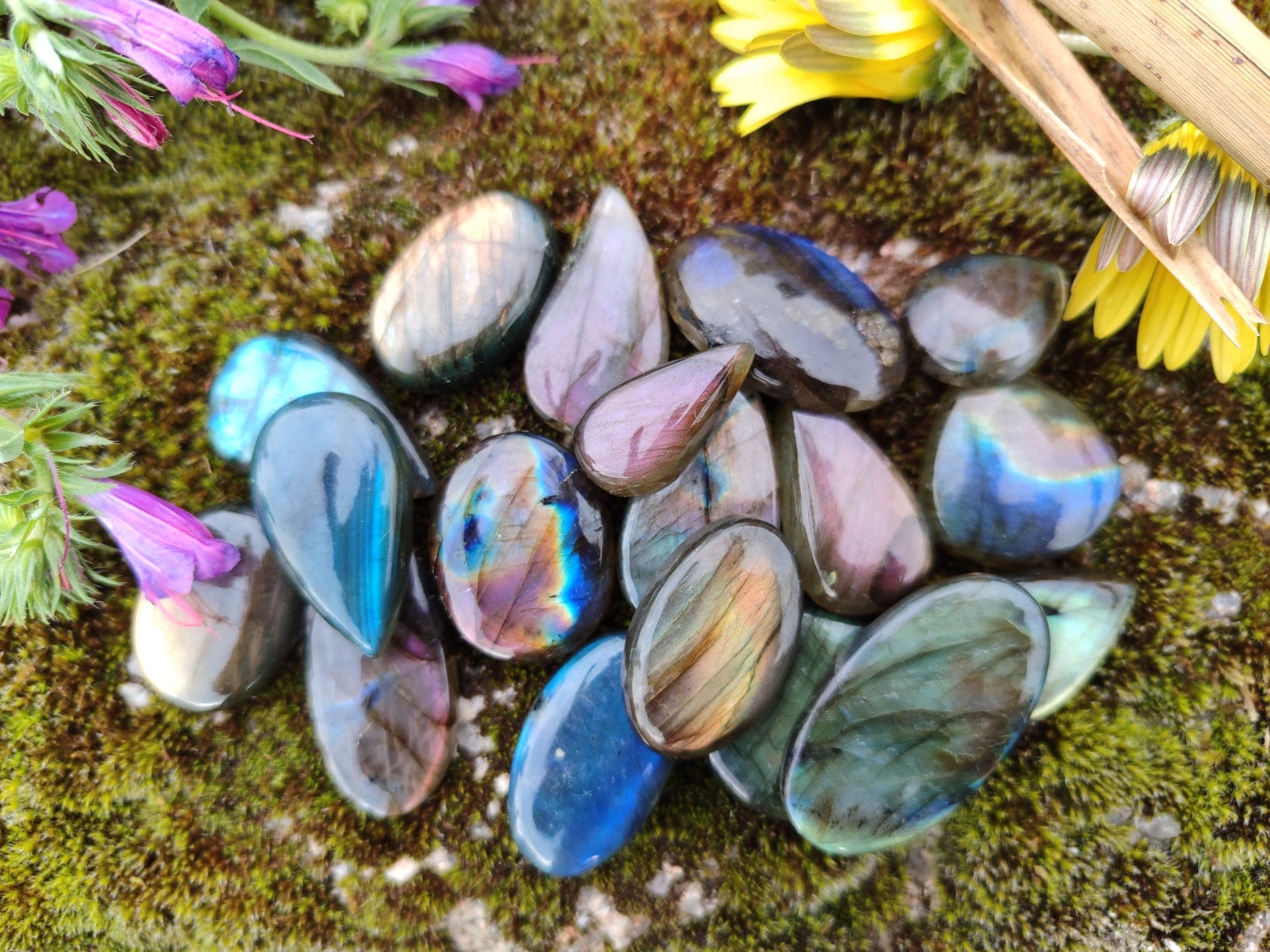 Labradorites