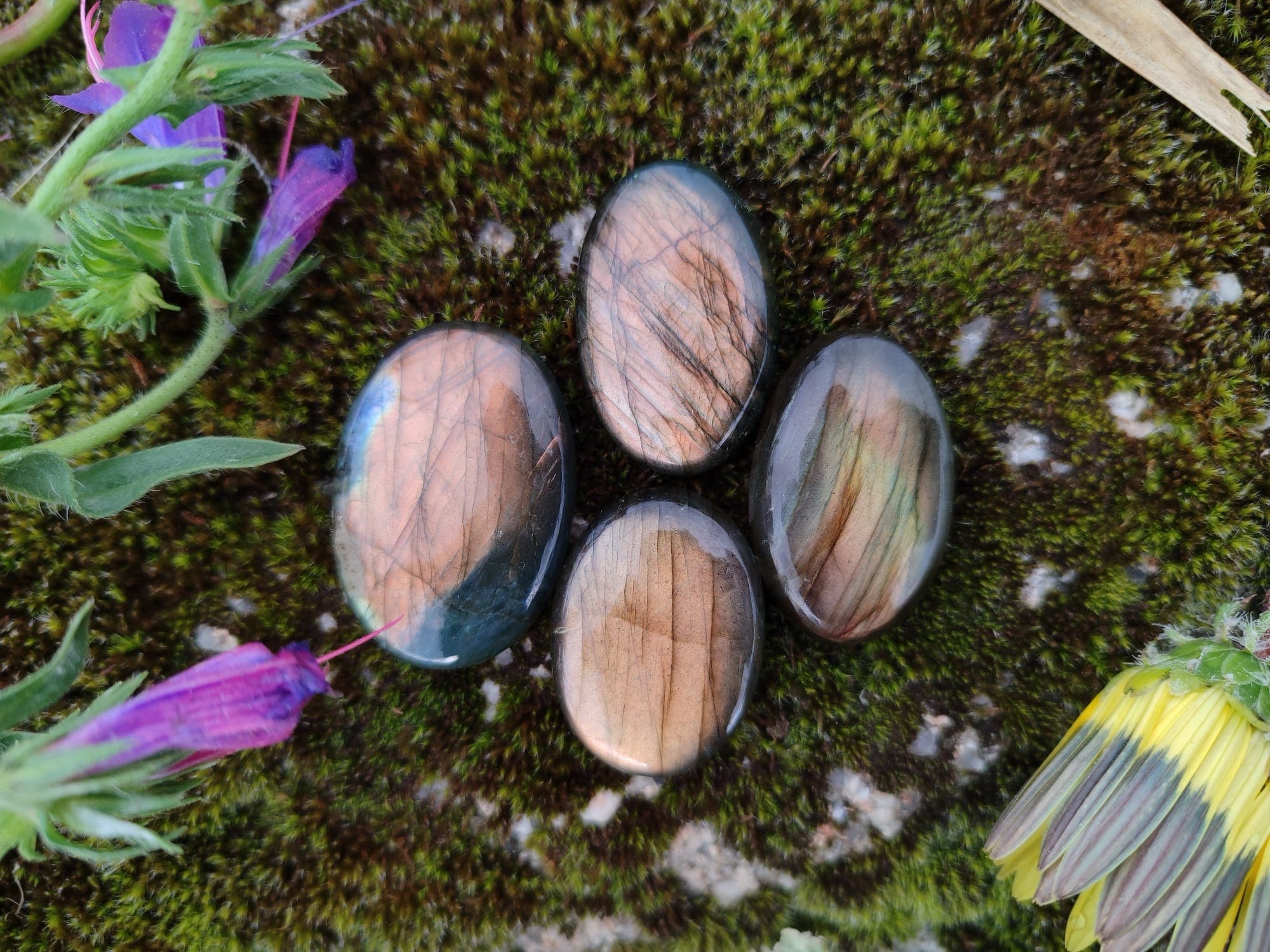 Labradorite - Dourada